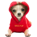 ஸ்டிக்கர்