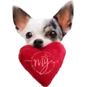 ஸ்டிக்கர்