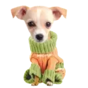 ஸ்டிக்கர்