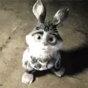 สติกเกอร์