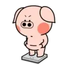 ஸ்டிக்கர்