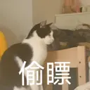 స్టికర్