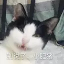 స్టికర్