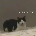 స్టికర్