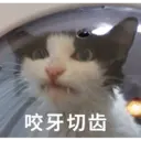 స్టికర్