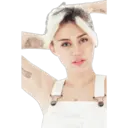 স্টিকার