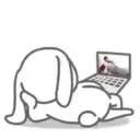 ස්ටිකර්