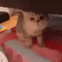 สติกเกอร์