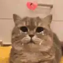 สติกเกอร์