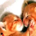 สติกเกอร์