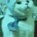 สติกเกอร์