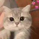 สติกเกอร์