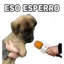 Կպչուն պիտակ