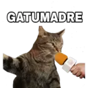 Կպչուն պիտակ