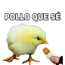 Կպչուն պիտակ