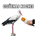 Կպչուն պիտակ