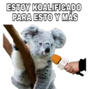 Կպչուն պիտակ