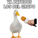 Կպչուն պիտակ