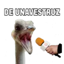 Կպչուն պիտակ