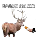 Կպչուն պիտակ