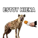 Կպչուն պիտակ