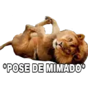 Samolepka