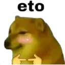Nhãn dán