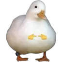 Nhãn dán