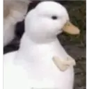 Nhãn dán