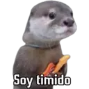 Nhãn dán