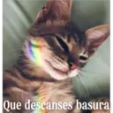 Stika