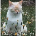 اسٹیکر