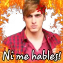 Samolepka