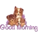 స్టికర్