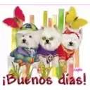 స్టికర్