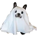 Nhãn dán