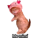 Nhãn dán