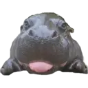 Nhãn dán