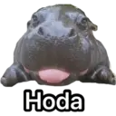 Nhãn dán