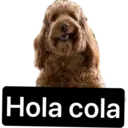 Nhãn dán