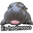Nhãn dán