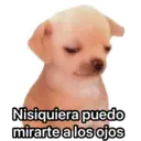 Nhãn dán