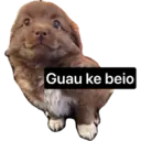 Nhãn dán