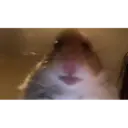 اسٹیکر