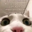 Figurinha