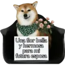 Stika
