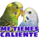 ស្ទីកเกอร์