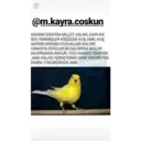 Çıkartma