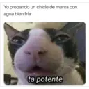 Naljepnica