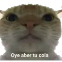 Ngjitës